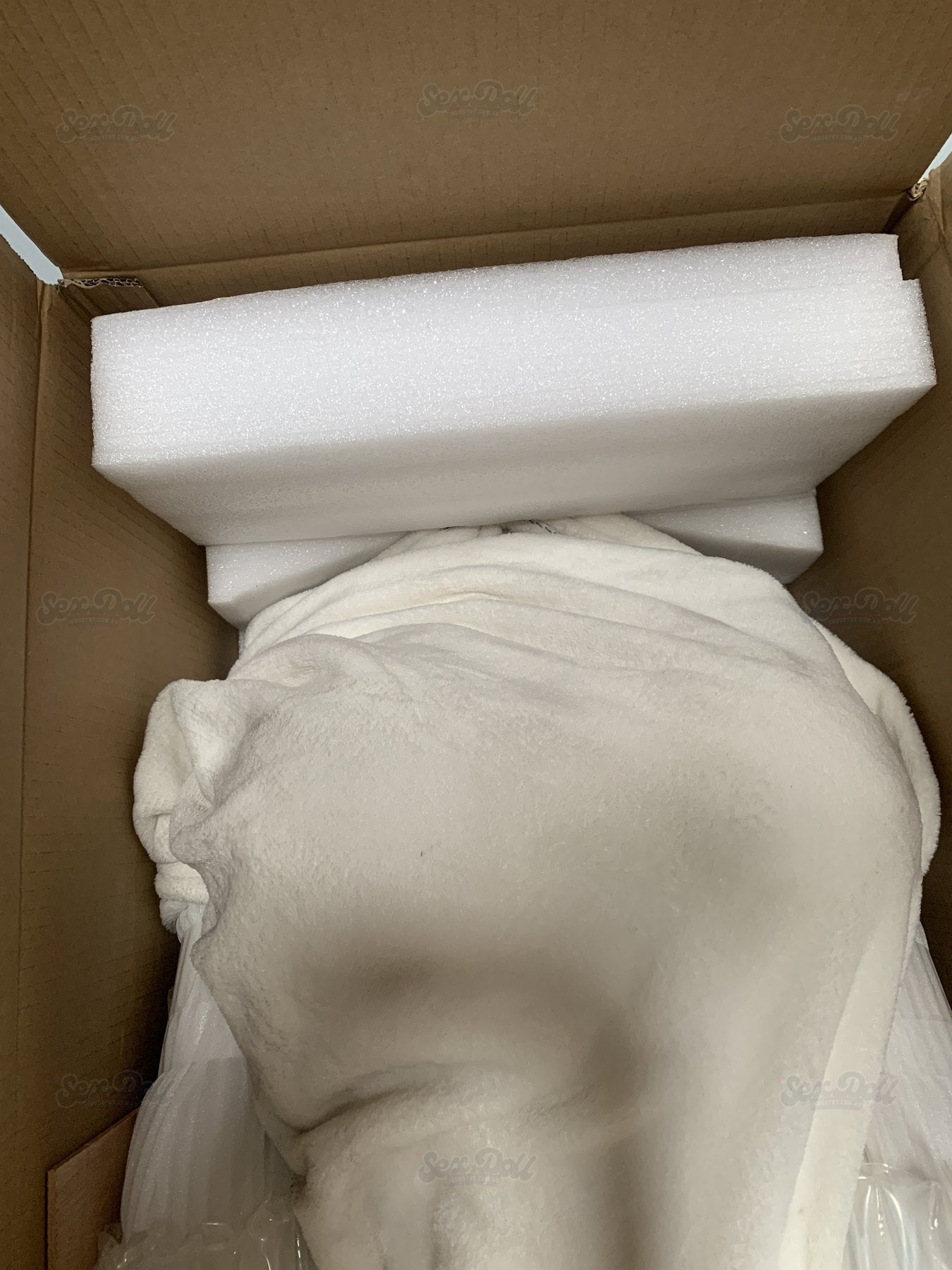Foam cushioning inside the carton